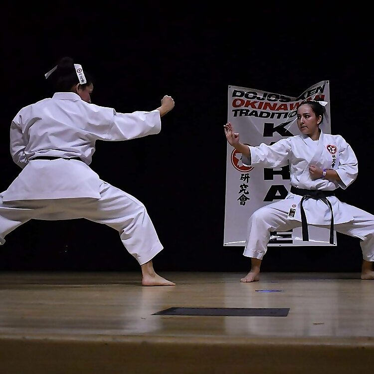 Dojos Ken 