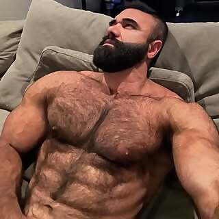 Persian Wolf