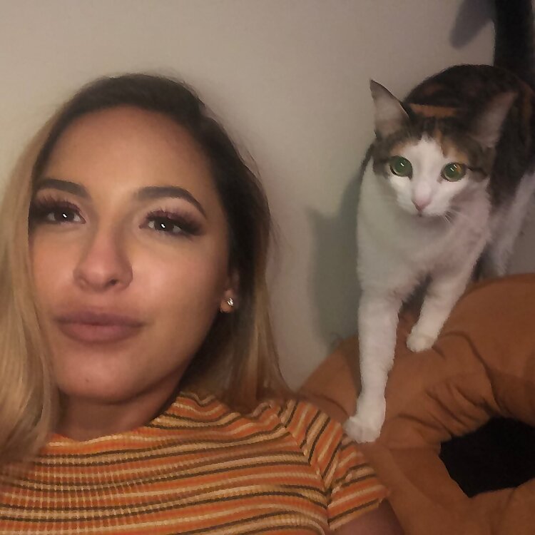 Top 20 Persian OnlyFans Influencers in 2025 (Iranian OnlyFans)