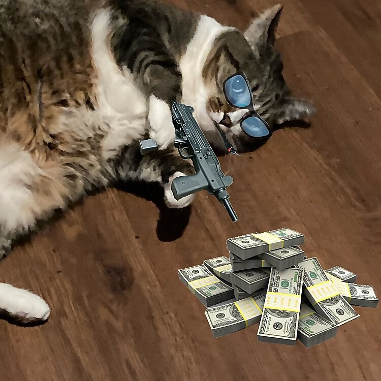 Asheville Music Producer