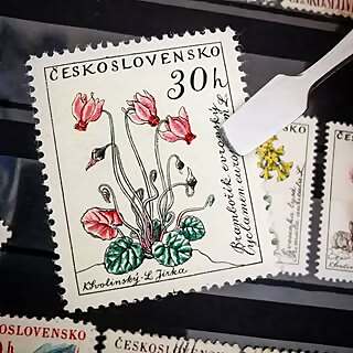 Francisco Hernández