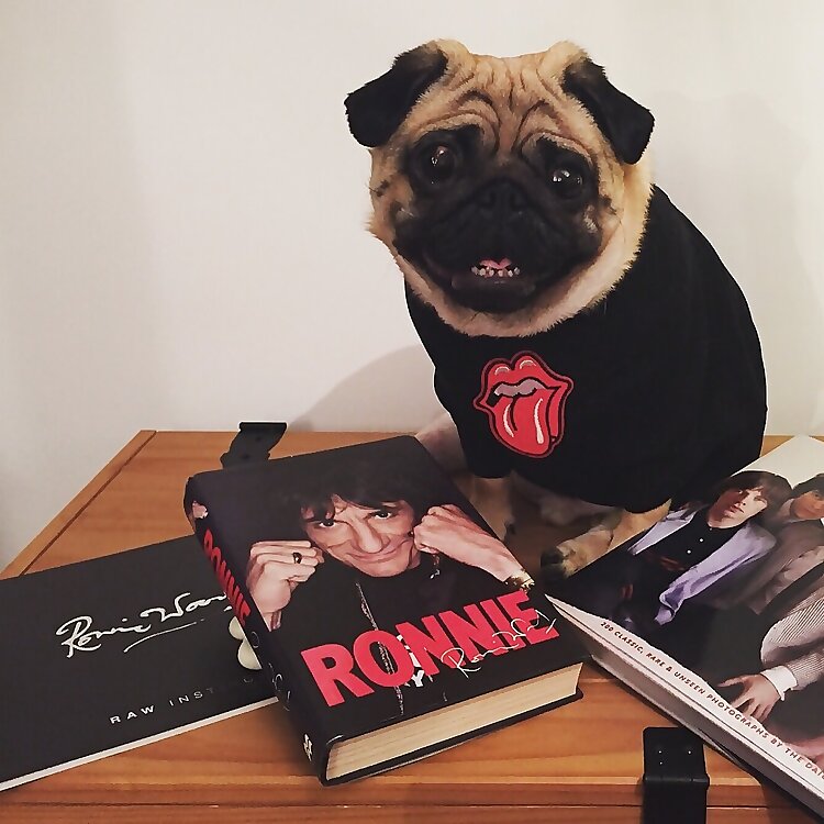 Ronnie