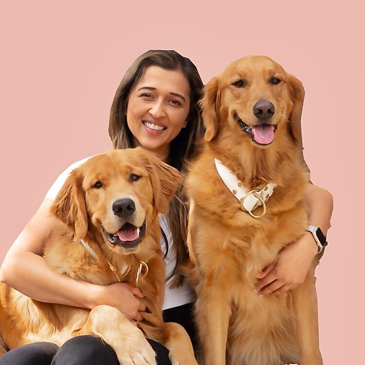 Jyotsna Shankar