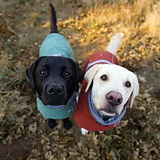 Kayla, Brewski & Anchor