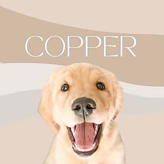 Copper