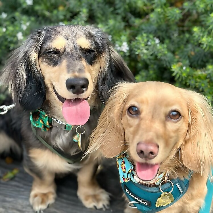 Monte & Mikey