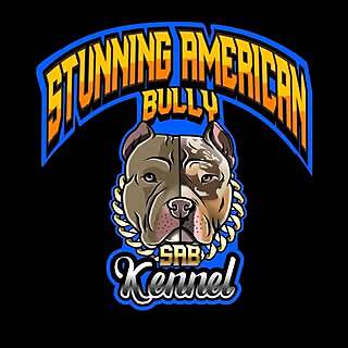 American Bully