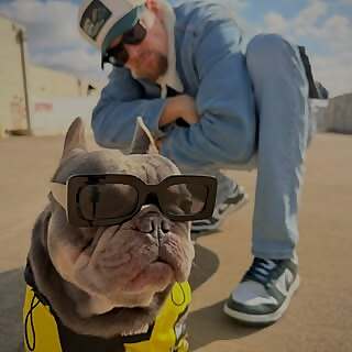 Dad and his Frenchies