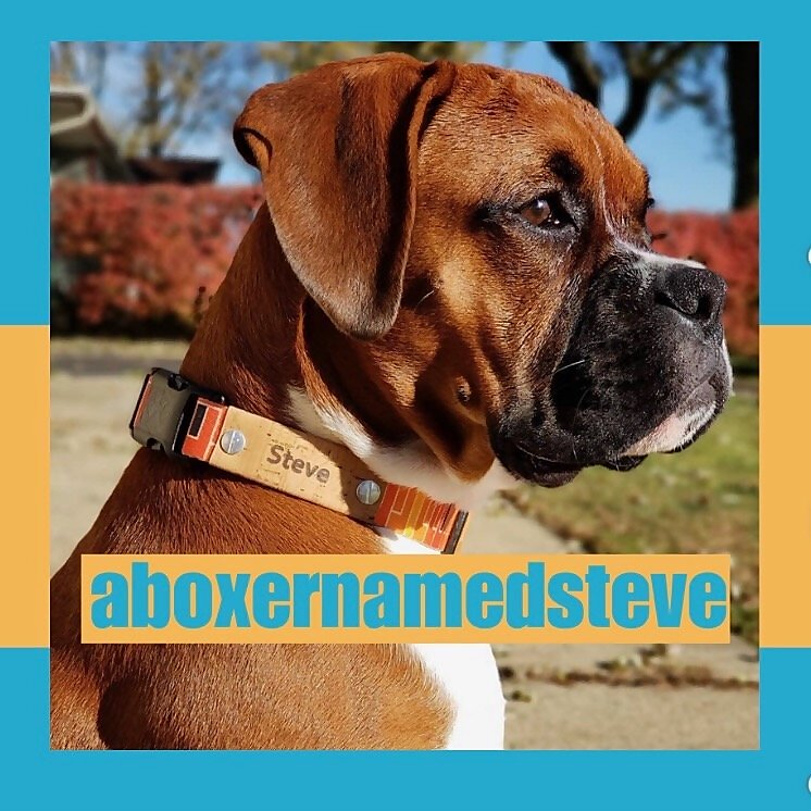 Steve