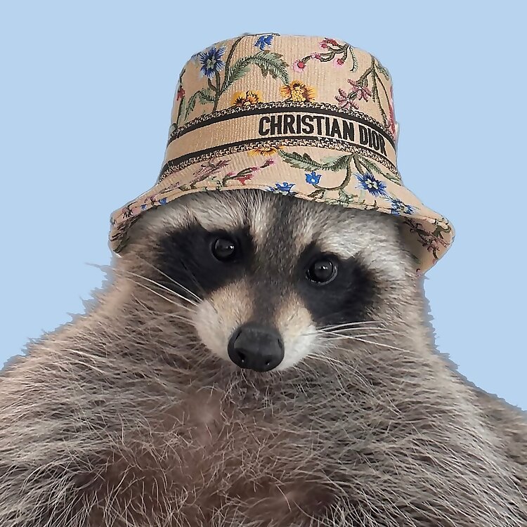 Louie