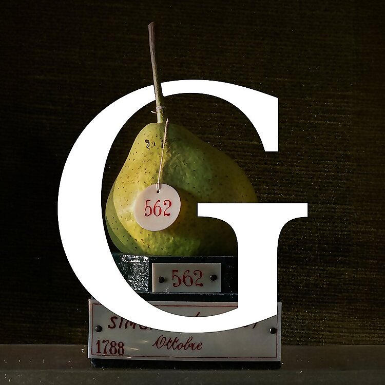 Granta Books