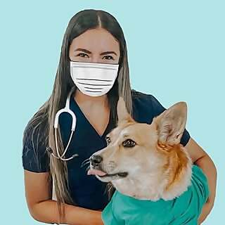 Whitecoatsandcorgis