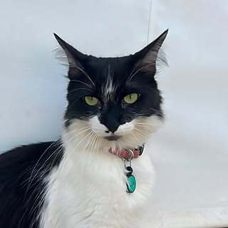 Lua 