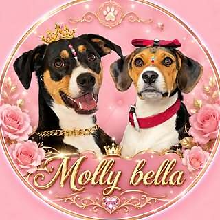 Molly