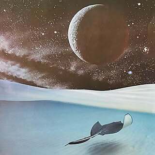 Steve Haney