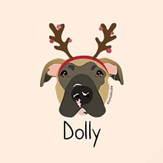 Dolly Wally