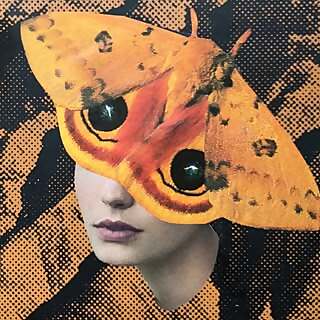 Liz Plettner