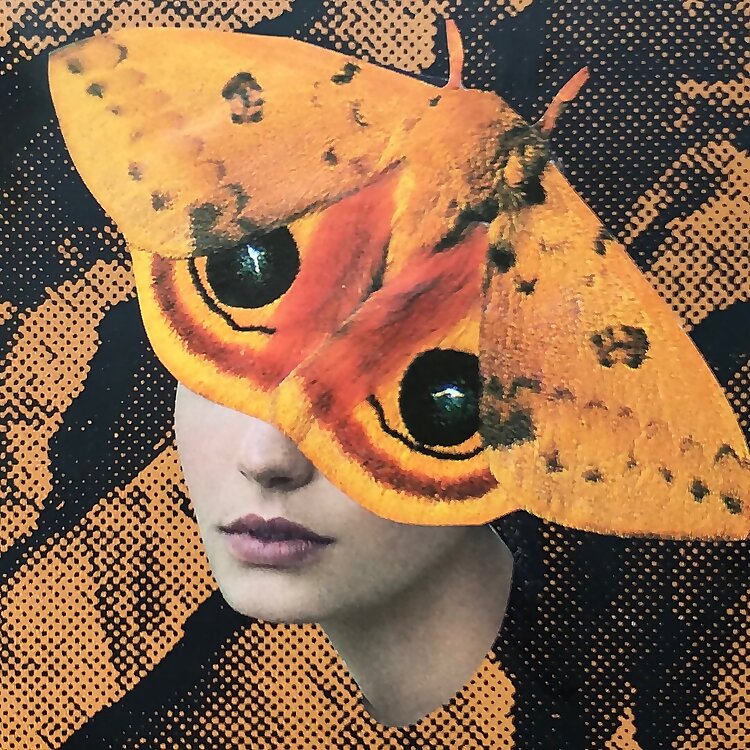 Liz Plettner