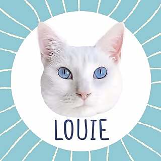 Louie
