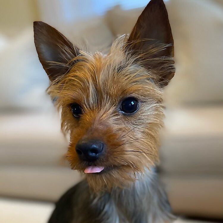 Murph