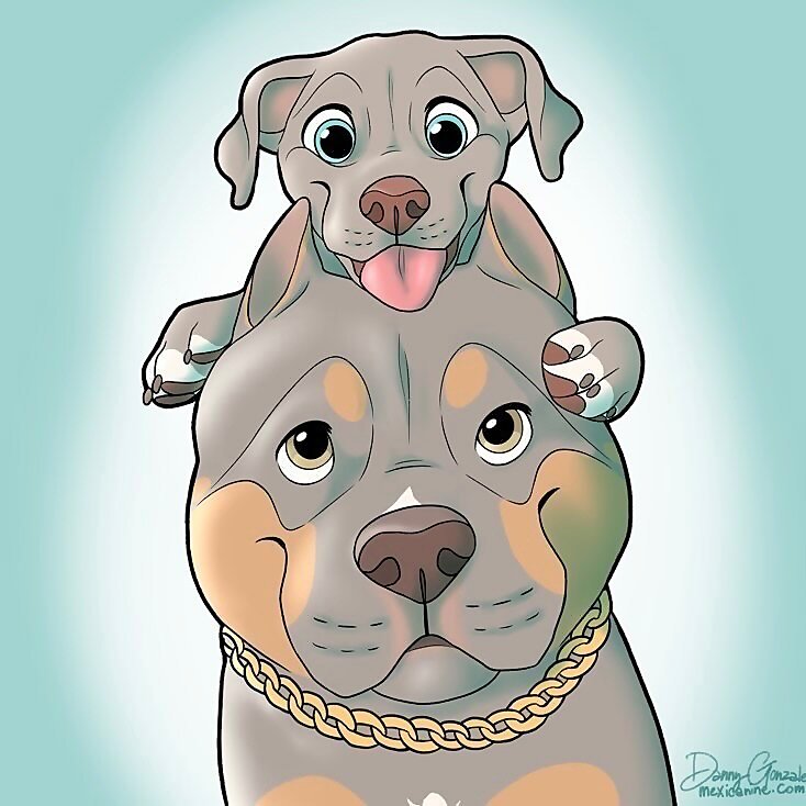 Clyde & Chase