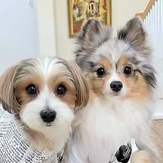Lucky & Ginza