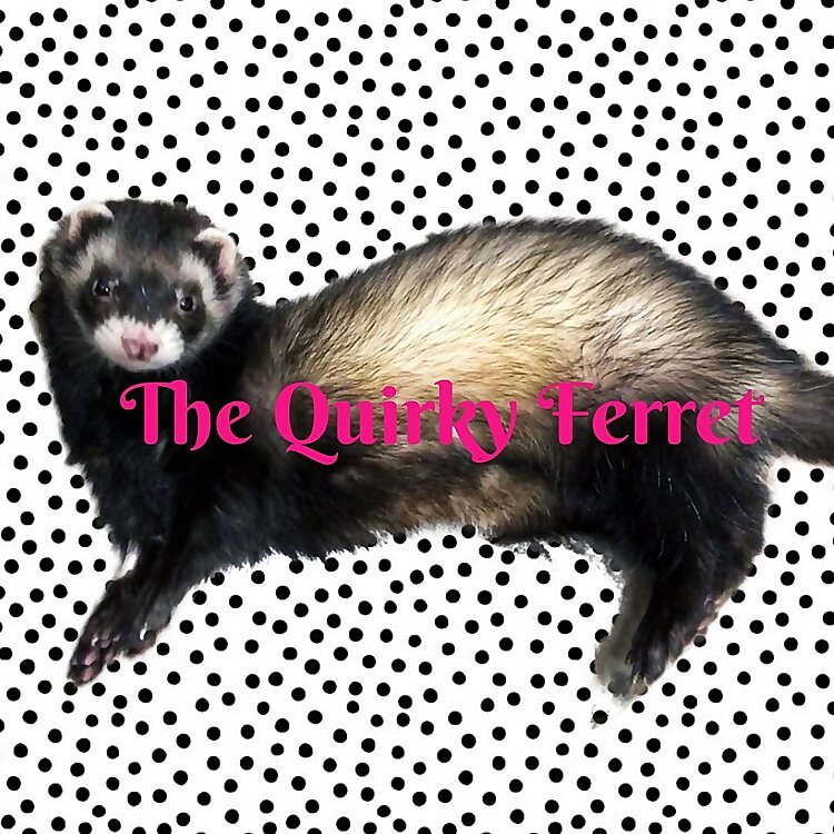 Thequirkyferret