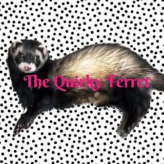 Thequirkyferret