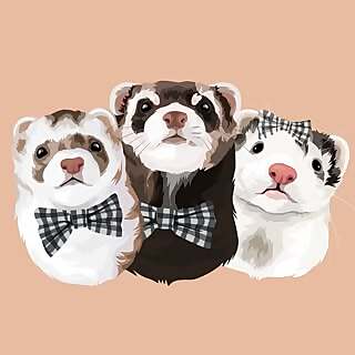 Archie, Harvey & Millie