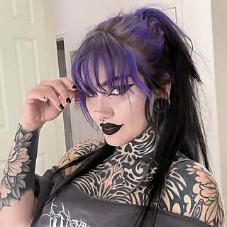 Lavender Daydream