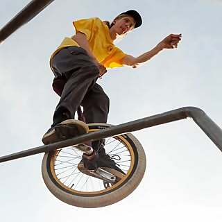 Mimo Seedler