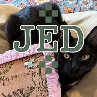 Jessica Doize