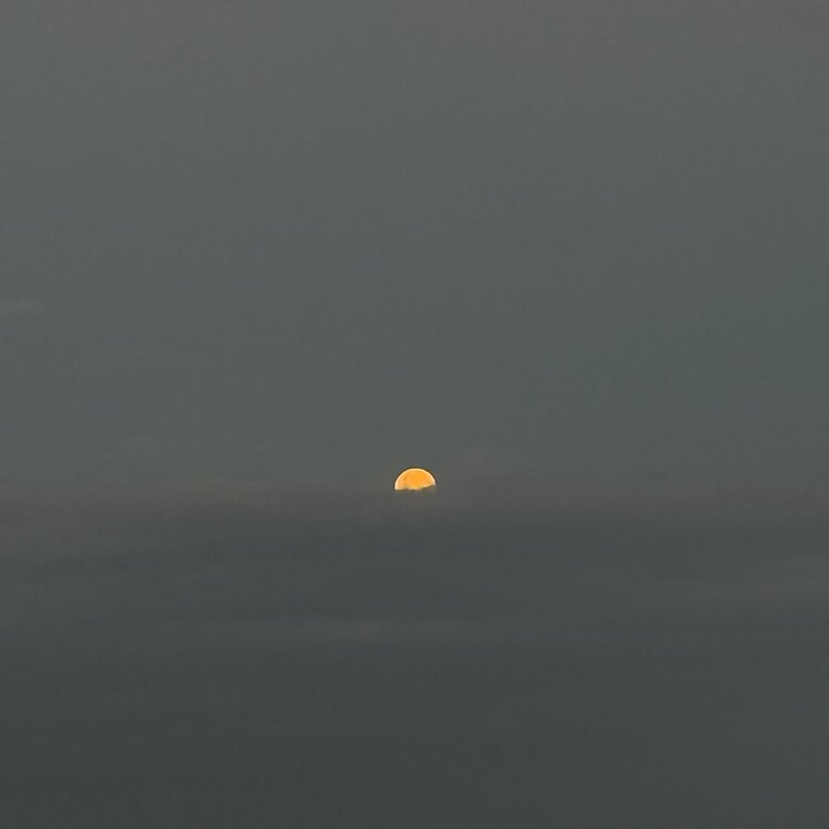 Antonella Pizzichini