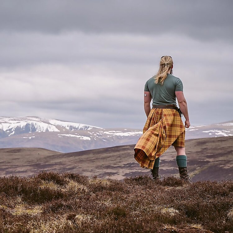 Tartan Viking