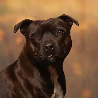 Peggy 