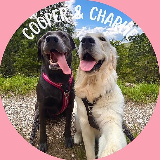 Charlie & Cooper