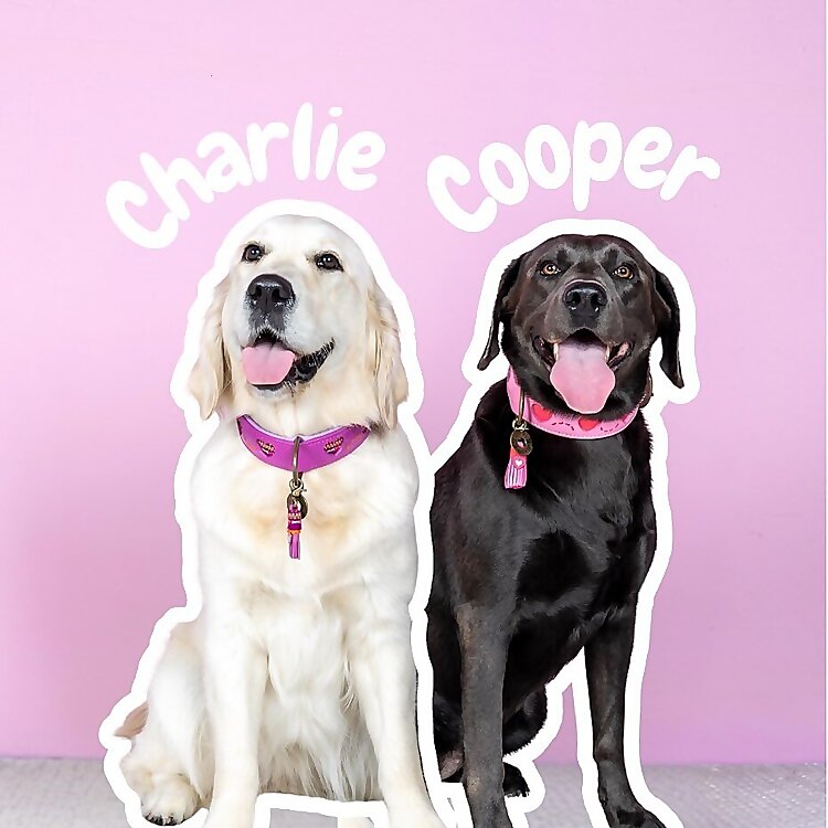 Charlie & Cooper
