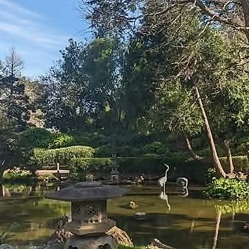 Inthewoods