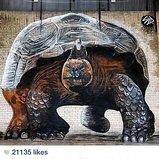 Luke Hollingworth