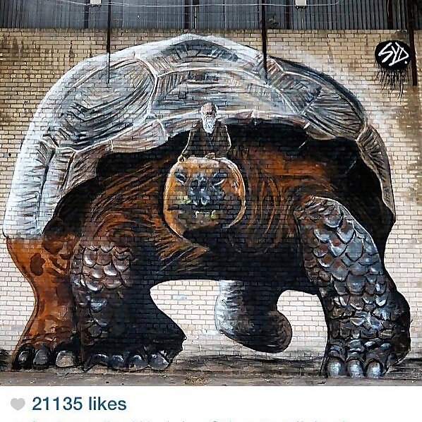 Luke Hollingworth