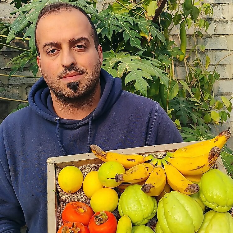 Omid Monemi Amiri