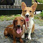 Coco & Lele