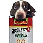 Meatball 