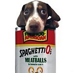 Meatball 