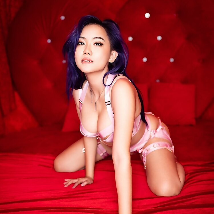 Harriet Sugarcookie
