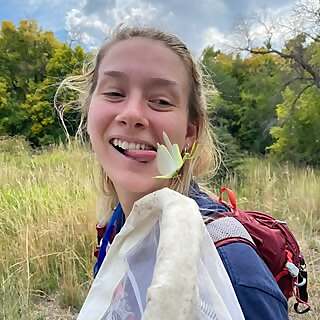 Abby Lehner