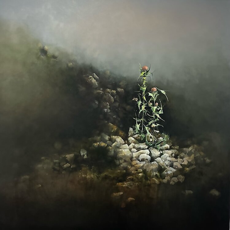 Sallyann Beirne 