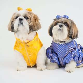 Ozzu & Noor 