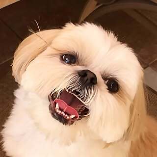 Mason