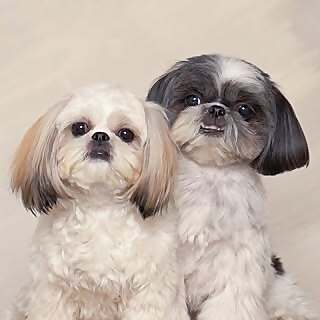 Phoebe & Cammi